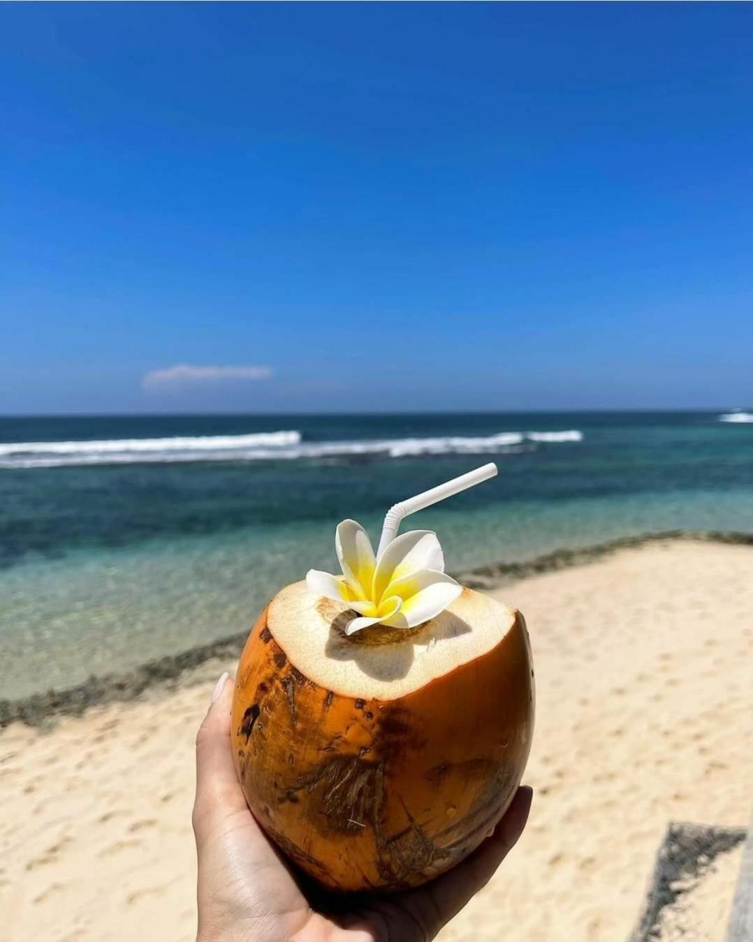 Aloe Vera Villa ネゴンボ エクステリア 写真